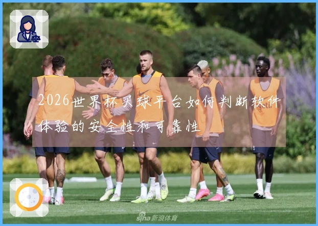 2026世界杯买球平台如何判断软件体验的安全性和可靠性