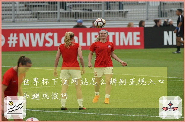 世界杯下注网站怎么辨别正规入口和避坑技巧
