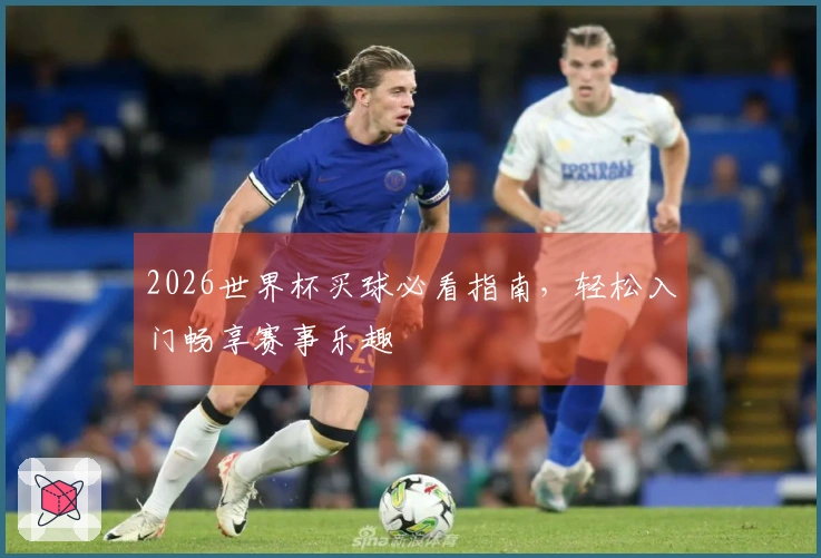 2026世界杯买球必看指南，轻松入门畅享赛事乐趣