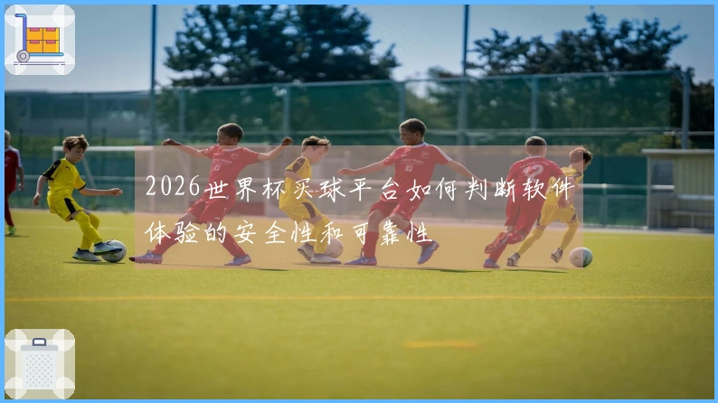 2026世界杯买球平台如何判断软件体验的安全性和可靠性