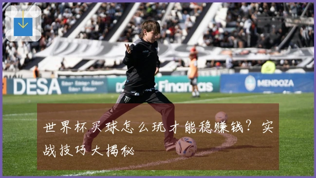 世界杯买球怎么玩才能稳赚钱？实战技巧大揭秘