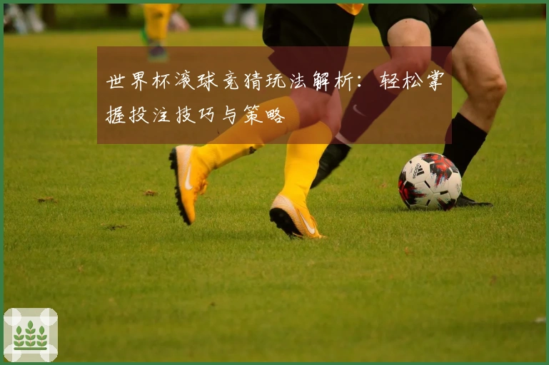 世界杯滚球竞猜玩法解析：轻松掌握投注技巧与策略