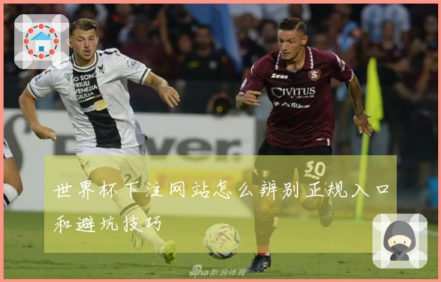 世界杯下注网站怎么辨别正规入口和避坑技巧