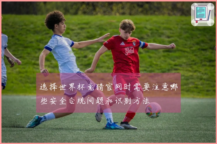 选择世界杯竞猜官网时需要注意哪些安全合规问题和识别方法