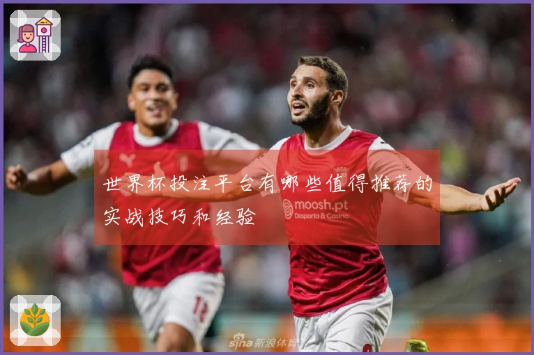世界杯投注平台有哪些值得推荐的实战技巧和经验