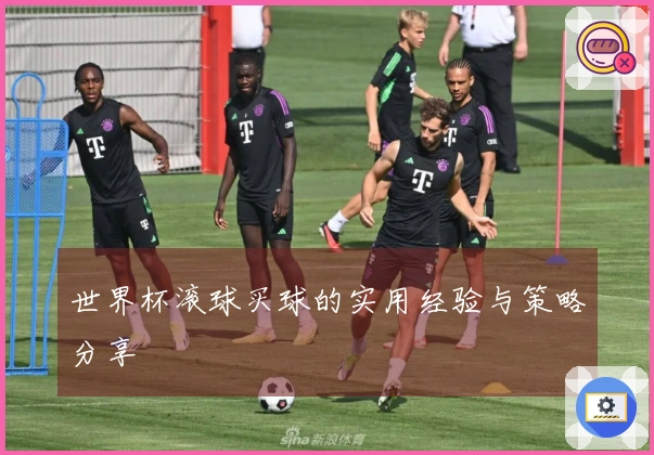 世界杯滚球买球的实用经验与策略分享