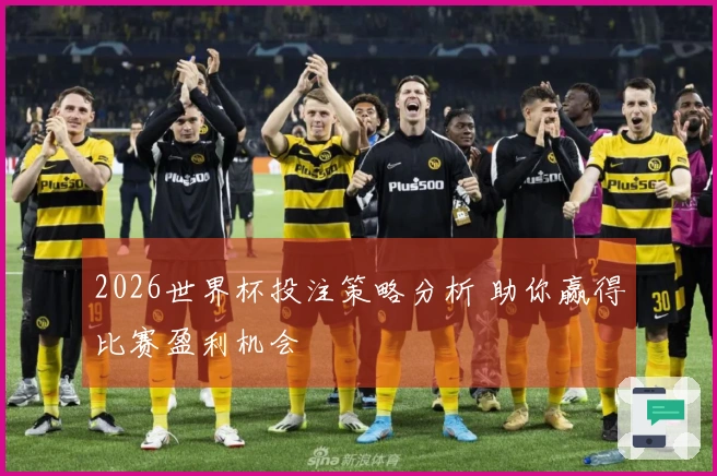 2026世界杯投注策略分析 助你赢得比赛盈利机会