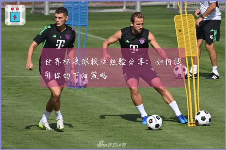 世界杯滚球投注经验分享：如何提升你的下注策略