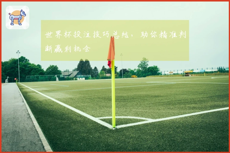 世界杯投注技巧总结，助你精准判断赢利机会