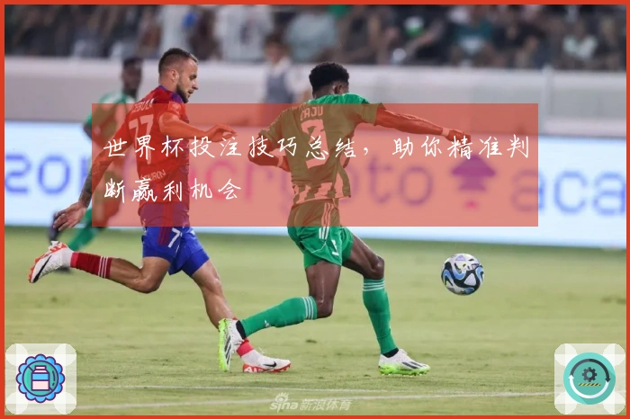 世界杯投注技巧总结，助你精准判断赢利机会