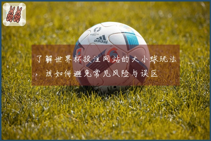 了解世界杯投注网站的大小球玩法，该如何避免常见风险与误区